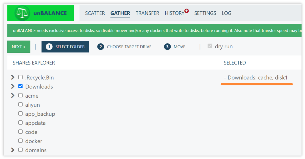 可以看到 Downloads 共享文件夹内的文件，分别存储在 cache 和 disk1 中
